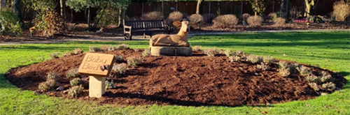 The pond in the new garden