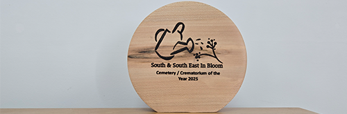 South & Southeast in Bloom award