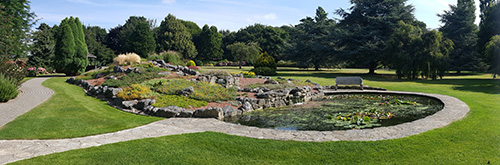 The pond in the new garden