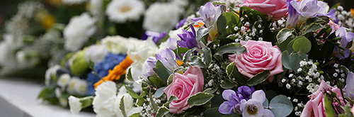 A display of flowers in one of the floral bays